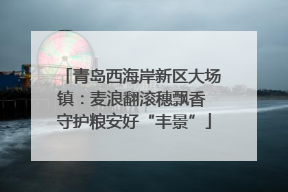 青岛西海岸新区大场镇：麦浪翻滚穗飘香 守护粮安好“丰景”