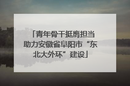 青年骨干挺膺担当 助力安徽省阜阳市“东北大外环”建设