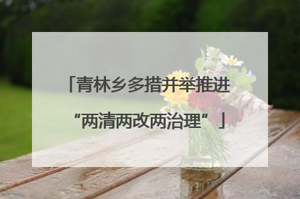 青林乡多措并举推进“两清两改两治理”