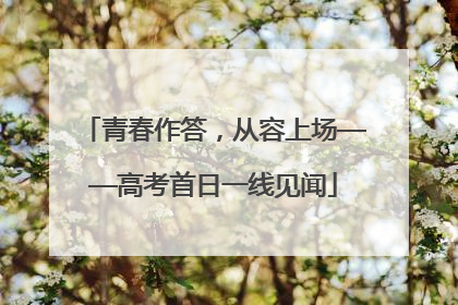 青春作答，从容上场——高考首日一线见闻