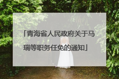青海省人民政府关于马瑞等职务任免的通知