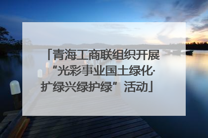 青海工商联组织开展“光彩事业国土绿化·扩绿兴绿护绿”活动