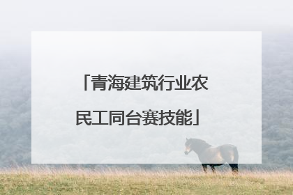 青海建筑行业农民工同台赛技能