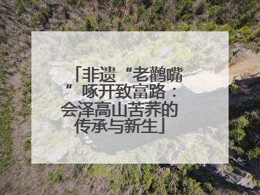 非遗“老鹳嘴”啄开致富路：会泽高山苦荞的传承与新生