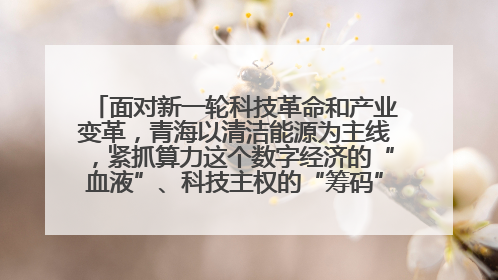 面对新一轮科技革命和产业变革，青海以清洁能源为主线，紧抓算力这个数字经济的“血液”、科技主权的“筹码”、产业升级的“杠杆”、绿色转型的“支点”，勇于撬动国家“双碳”战略、“东数西算”工程重大发展新机遇