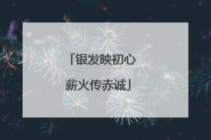 银发映初心 薪火传赤诚