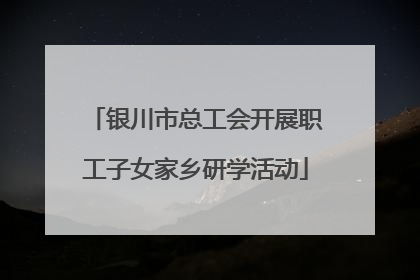 银川市总工会开展职工子女家乡研学活动