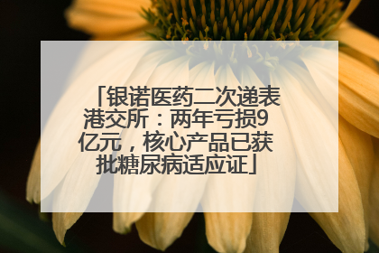 银诺医药二次递表港交所：两年亏损9亿元，核心产品已获批糖尿病适应证