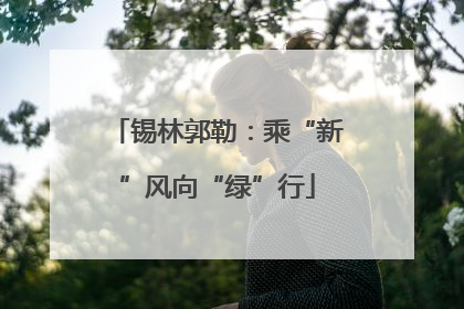 锡林郭勒：乘“新”风向“绿”行