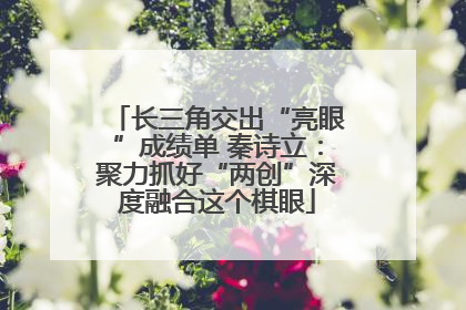 长三角交出“亮眼”成绩单 秦诗立：聚力抓好“两创”深度融合这个棋眼