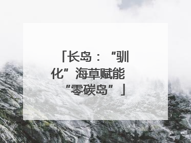 长岛：“驯化”海草赋能“零碳岛”