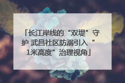 长江岸线的“双堤”守护 武昌社区防溺引入“1米高度”治理视角