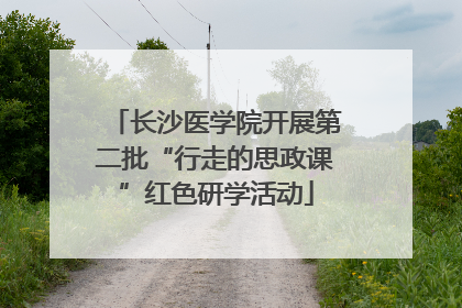 长沙医学院开展第二批“行走的思政课”红色研学活动