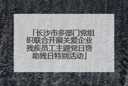长沙市多部门党组织联合开展关爱企业残疾员工主题党日暨助残日特别活动