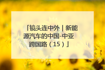 镜头连中外｜新能源汽车的中国-中亚跨国路（15）