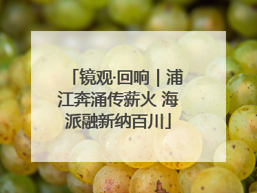 镜观·回响｜浦江奔涌传薪火 海派融新纳百川