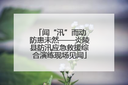 闻“汛”而动 防患未然——炎陵县防汛应急救援综合演练现场见闻