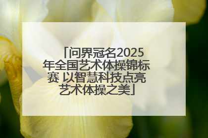 问界冠名2025年全国艺术体操锦标赛 以智慧科技点亮艺术体操之美