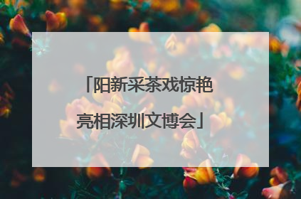 阳新采茶戏惊艳亮相深圳文博会
