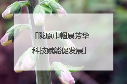 陇原巾帼展芳华 科技赋能促发展