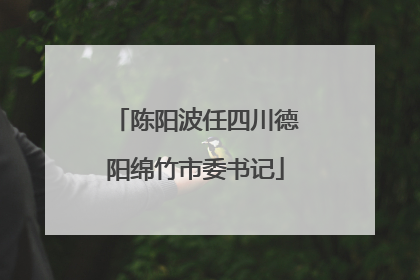 陈阳波任四川德阳绵竹市委书记