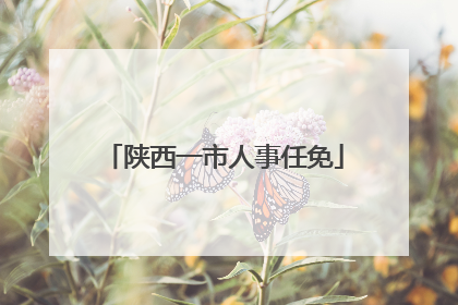 陕西一市人事任免