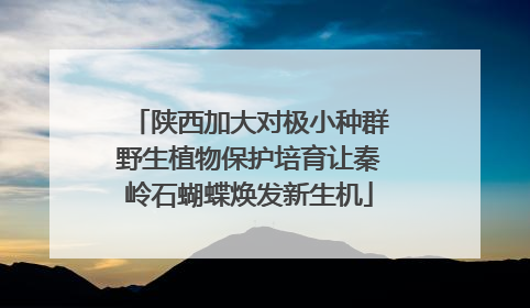 陕西加大对极小种群野生植物保护培育让秦岭石蝴蝶焕发新生机