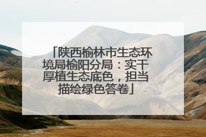 陕西榆林市生态环境局榆阳分局：实干厚植生态底色，担当描绘绿色答卷
