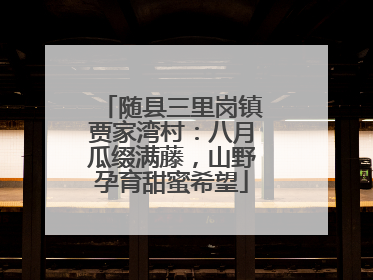 随县三里岗镇贾家湾村：八月瓜缀满藤，山野孕育甜蜜希望