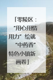 零陵区：“用心用情用力”绘就“中药香”特色小镇新画卷
