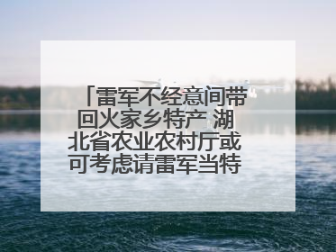 雷军不经意间带回火家乡特产 湖北省农业农村厅或可考虑请雷军当特产大使