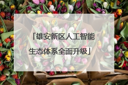 雄安新区人工智能生态体系全面升级