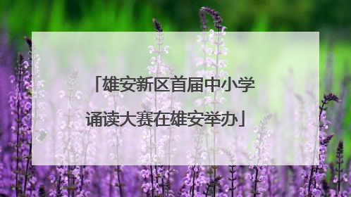 雄安新区首届中小学诵读大赛在雄安举办