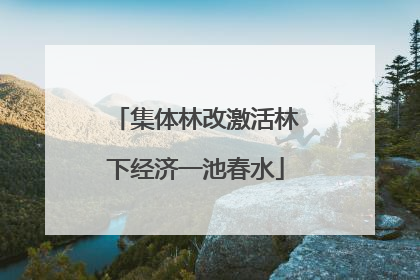集体林改激活林下经济一池春水