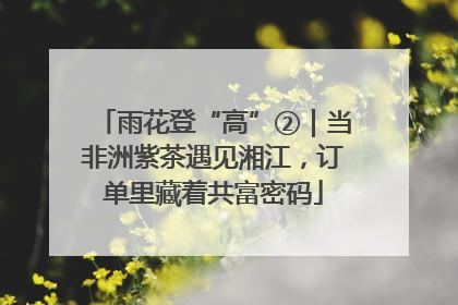 雨花登“高”②｜当非洲紫茶遇见湘江，订单里藏着共富密码