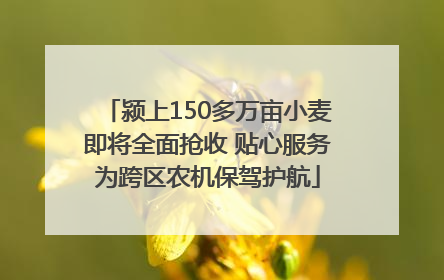 颍上150多万亩小麦即将全面抢收 贴心服务为跨区农机保驾护航