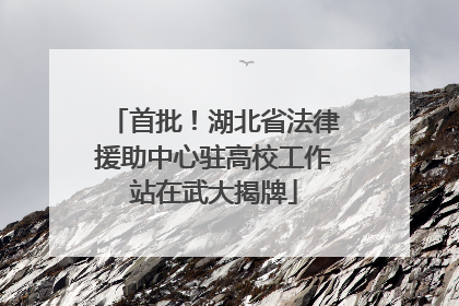 首批！湖北省法律援助中心驻高校工作站在武大揭牌