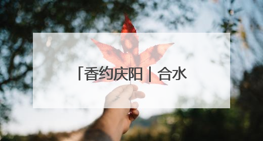 香约庆阳｜合水唐旗村开启农产品直播“云”销路
