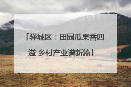驿城区：田园瓜果香四溢 乡村产业谱新篇