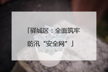 驿城区：全面筑牢防汛“安全网”