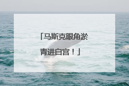 马斯克眼角淤青进白宫！