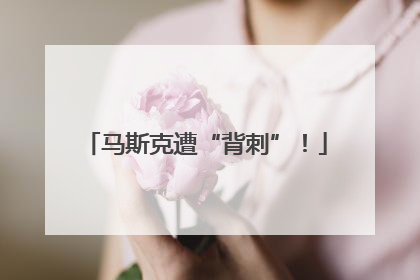 马斯克遭“背刺”！