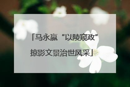 马永嬴“以陵窥政” 掠影文景治世风采