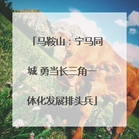 马鞍山：宁马同城 勇当长三角一体化发展排头兵