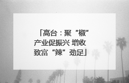 高台：聚“椒”产业促振兴 增收致富“辣”劲足