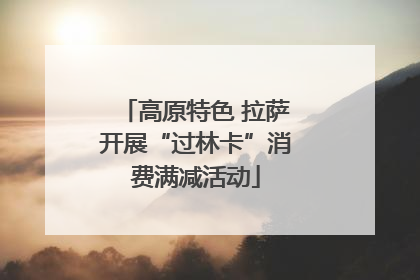 高原特色 拉萨开展“过林卡”消费满减活动