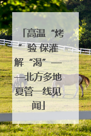 高温“烤”验 保灌解“渴”——北方多地夏管一线见闻