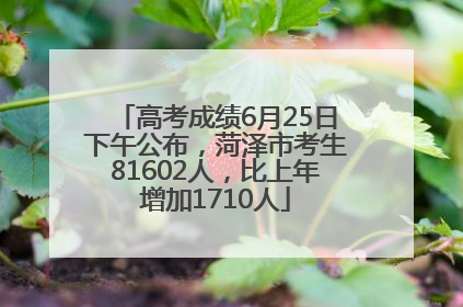 高考成绩6月25日下午公布，菏泽市考生81602人，比上年增加1710人