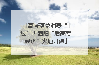 高考落幕消费“上线”！泗阳“后高考经济”火速升温