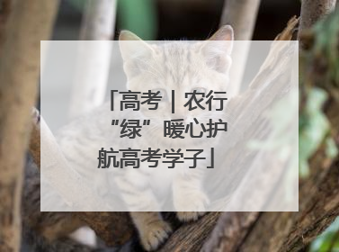 高考｜农行“绿”暖心护航高考学子